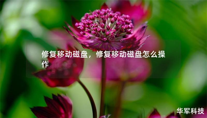 修復(fù)移動(dòng)磁盤，修復(fù)移動(dòng)磁盤怎么操作