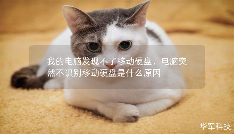 我的電腦發(fā)現(xiàn)不了移動(dòng)硬盤，電腦突然不識(shí)別移動(dòng)硬盤是什么原因
