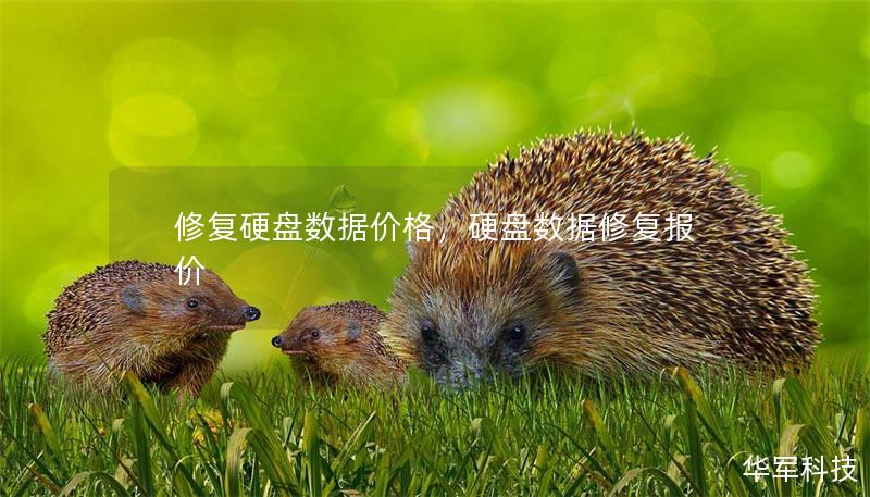 修復(fù)硬盤數(shù)據(jù)價格，硬盤數(shù)據(jù)修復(fù)報價