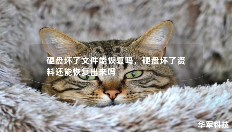 硬盤(pán)壞了文件能恢復(fù)嗎，硬盤(pán)壞了資料還能恢復(fù)出來(lái)嗎