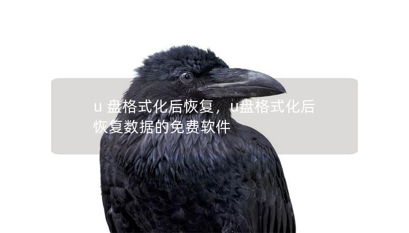 u 盤格式化后恢復，u盤格式化后恢復數(shù)據(jù)的免費軟件