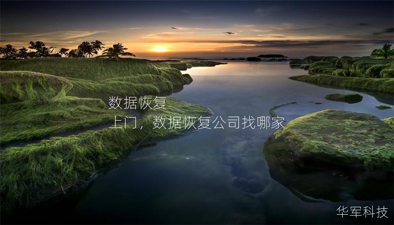數(shù)據(jù)恢復(fù) 上門，數(shù)據(jù)恢復(fù)公司找哪家