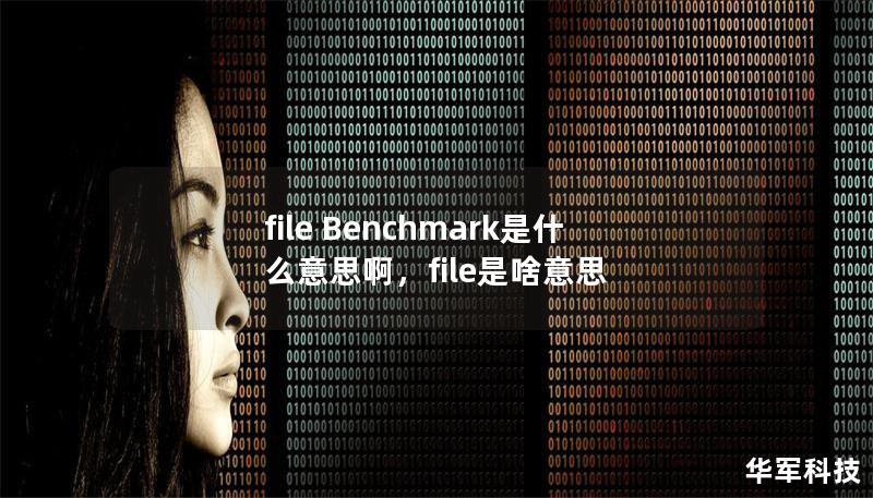 file Benchmark是什么意思啊，file是啥意思