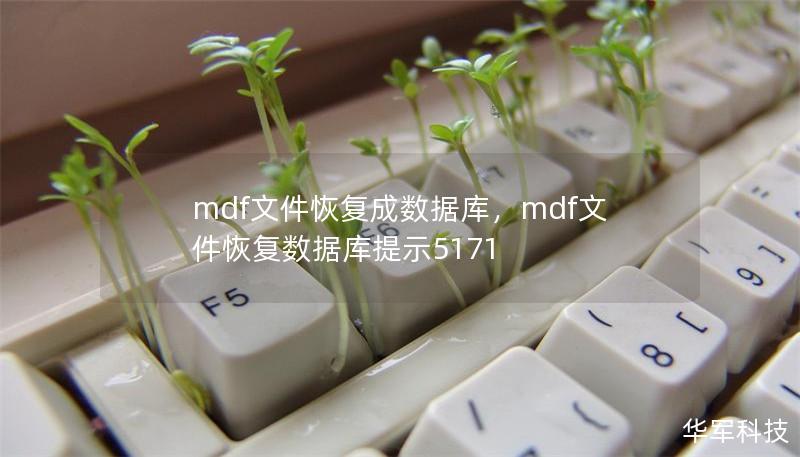 mdf文件恢復(fù)成數(shù)據(jù)庫(kù)，mdf文件恢復(fù)數(shù)據(jù)庫(kù)提示5171
