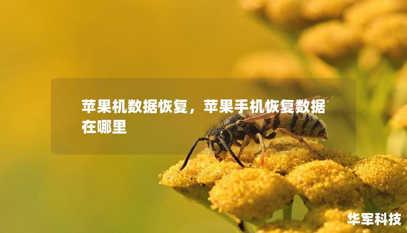 蘋果機數(shù)據(jù)恢復，蘋果手機恢復數(shù)據(jù)在哪里