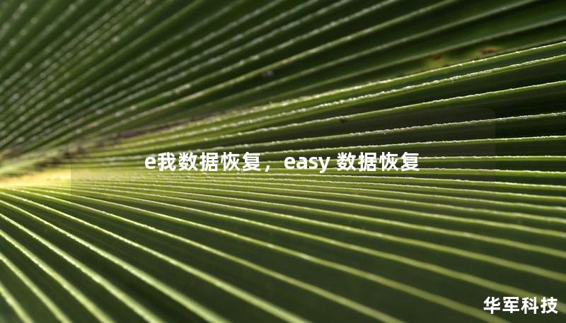 e我數(shù)據(jù)恢復(fù)，easy 數(shù)據(jù)恢復(fù)