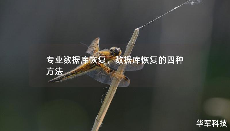 專業(yè)數(shù)據(jù)庫恢復(fù)，數(shù)據(jù)庫恢復(fù)的四種方法