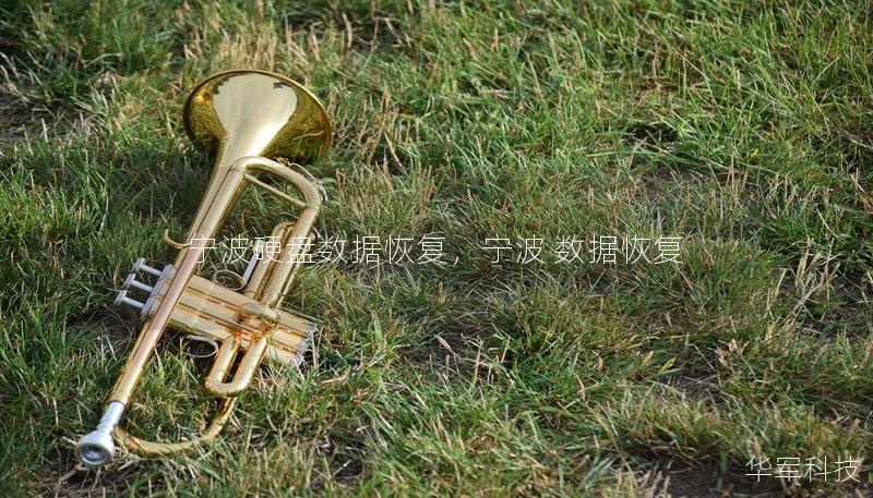 寧波硬盤數(shù)據(jù)恢復(fù)，寧波 數(shù)據(jù)恢復(fù)