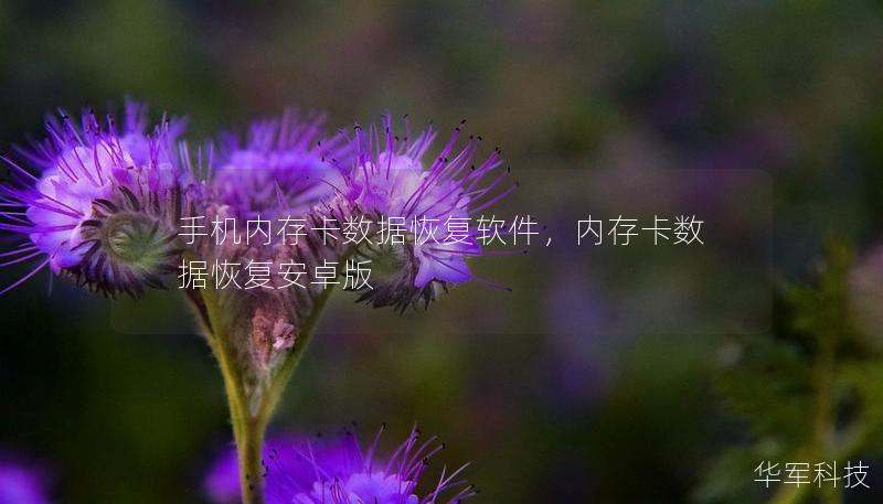 手機(jī)內(nèi)存卡數(shù)據(jù)恢復(fù)軟件，內(nèi)存卡數(shù)據(jù)恢復(fù)安卓版