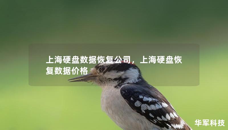 上海硬盤(pán)數(shù)據(jù)恢復(fù)公司，上海硬盤(pán)恢復(fù)數(shù)據(jù)價(jià)格