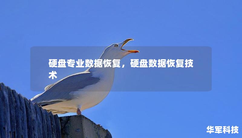 硬盤(pán)專業(yè)數(shù)據(jù)恢復(fù)，硬盤(pán)數(shù)據(jù)恢復(fù)技術(shù)