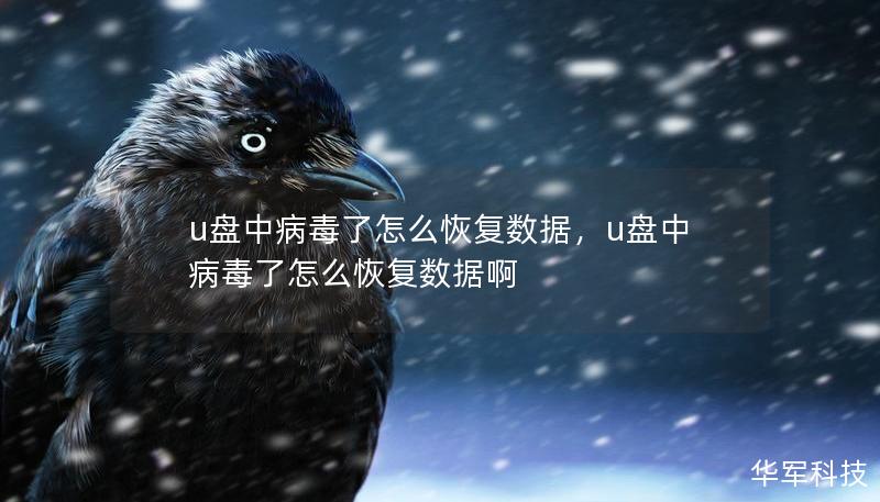 u盤(pán)中病毒了怎么恢復(fù)數(shù)據(jù)，u盤(pán)中病毒了怎么恢復(fù)數(shù)據(jù)啊