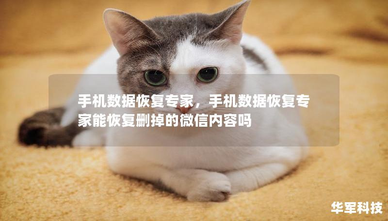 手機(jī)數(shù)據(jù)恢復(fù)專家，手機(jī)數(shù)據(jù)恢復(fù)專家能恢復(fù)刪掉的微信內(nèi)容嗎