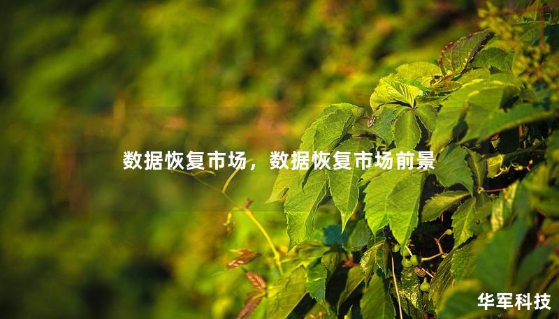數(shù)據(jù)恢復(fù)市場，數(shù)據(jù)恢復(fù)市場前景