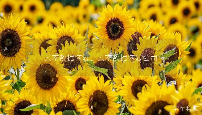 云南數(shù)據(jù)恢復(fù)，云南數(shù)據(jù)恢復(fù)公司