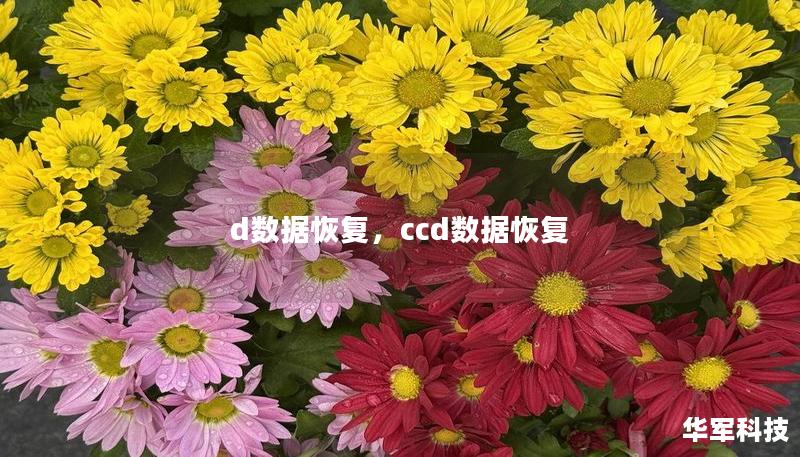 d數(shù)據(jù)恢復(fù)，ccd數(shù)據(jù)恢復(fù)