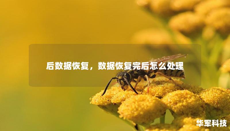 后數(shù)據(jù)恢復(fù)，數(shù)據(jù)恢復(fù)完后怎么處理
