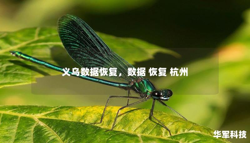 義烏數(shù)據(jù)恢復(fù)，數(shù)據(jù) 恢復(fù) 杭州