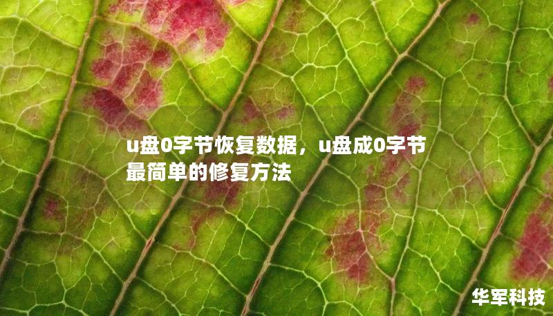 u盤0字節(jié)恢復(fù)數(shù)據(jù)，u盤成0字節(jié)最簡單的修復(fù)方法