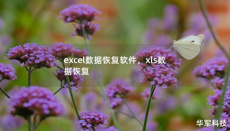 excel數(shù)據(jù)恢復軟件，xls數(shù)據(jù)恢復