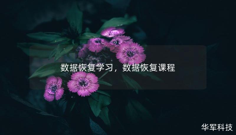 數(shù)據(jù)恢復(fù)學(xué)習(xí)，數(shù)據(jù)恢復(fù)課程