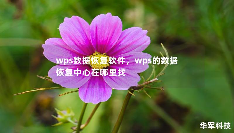 wps數據恢復軟件，wps的數據恢復中心在哪里找