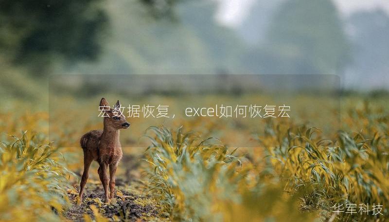 宏數(shù)據(jù)恢復(fù)，excel如何恢復(fù)宏