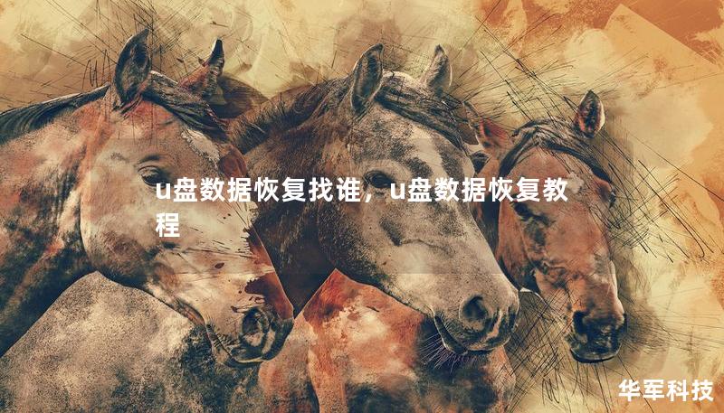 u盤數(shù)據(jù)恢復找誰，u盤數(shù)據(jù)恢復教程