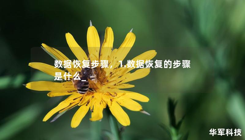 數(shù)據(jù)恢復(fù)步驟，1.數(shù)據(jù)恢復(fù)的步驟是什么_