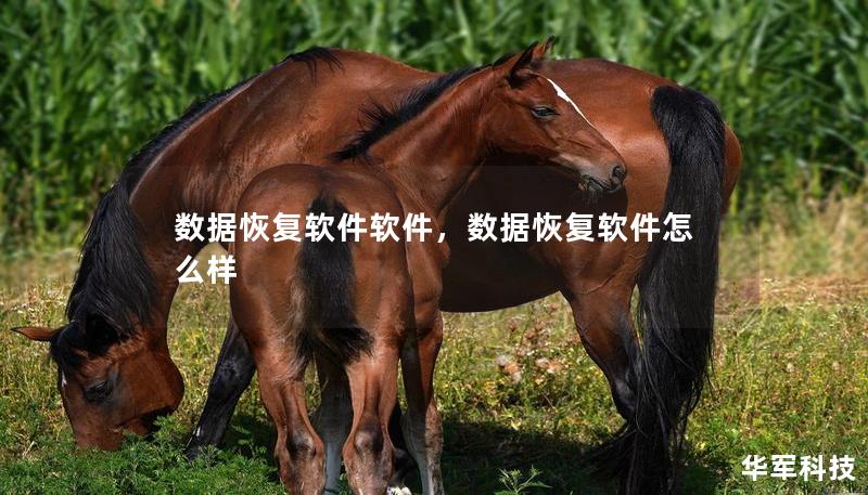 數(shù)據(jù)恢復(fù)軟件軟件，數(shù)據(jù)恢復(fù)軟件怎么樣