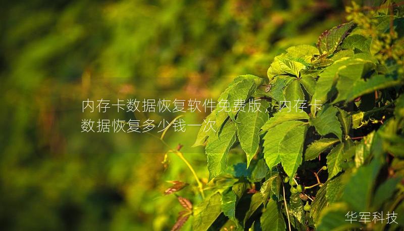 內(nèi)存卡數(shù)據(jù)恢復(fù)軟件免費(fèi)版，內(nèi)存卡數(shù)據(jù)恢復(fù)多少錢一次