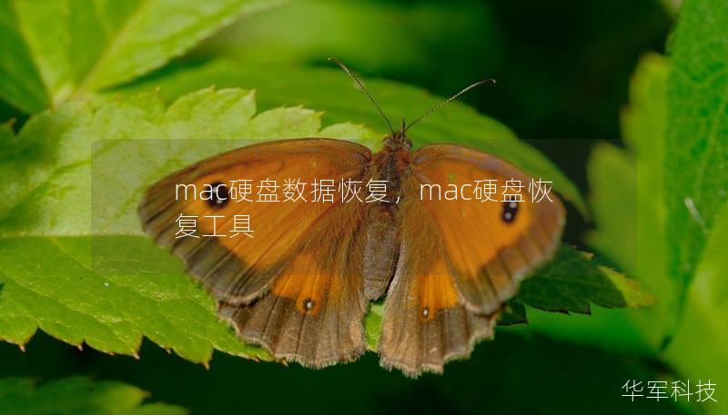 mac硬盤數(shù)據(jù)恢復(fù)，mac硬盤恢復(fù)工具