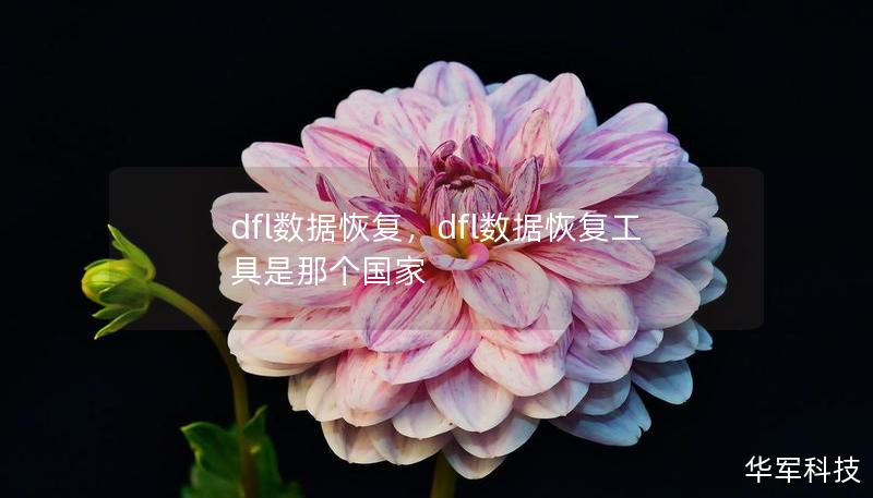 dfl數(shù)據(jù)恢復(fù)，dfl數(shù)據(jù)恢復(fù)工具是那個(gè)國家