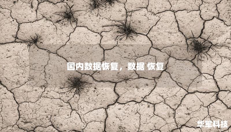 國內(nèi)數(shù)據(jù)恢復(fù)，數(shù)據(jù) 恢復(fù)