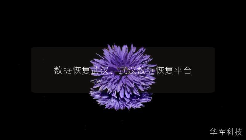 數(shù)據(jù)恢復武漢，武漢數(shù)據(jù)恢復平臺