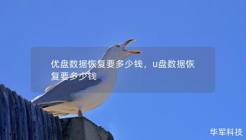 優(yōu)盤數(shù)據(jù)恢復(fù)要多少錢，u盤數(shù)據(jù)恢復(fù)要多少錢
