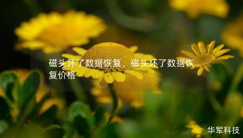 磁頭壞了數據恢復，磁頭壞了數據恢復價格