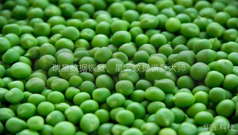 瑞星數(shù)據(jù)恢復(fù)，星云數(shù)據(jù)恢復(fù)大師