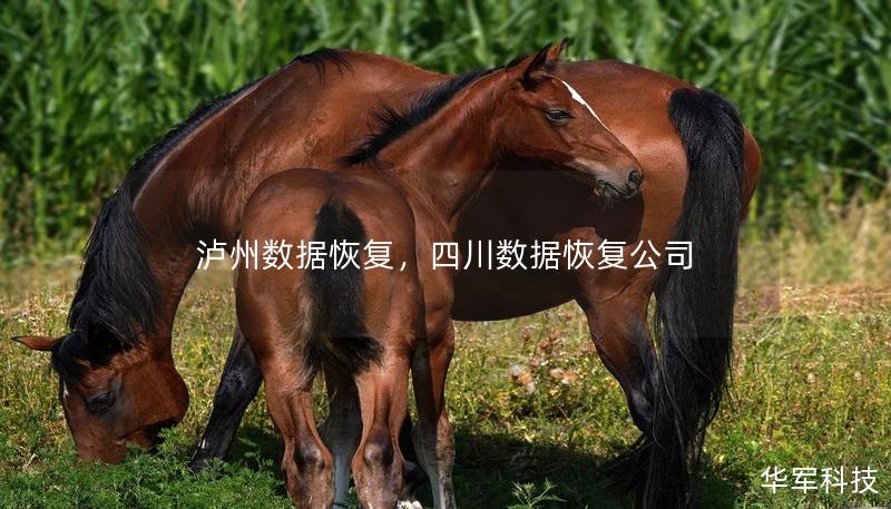 瀘州數(shù)據(jù)恢復(fù)，四川數(shù)據(jù)恢復(fù)公司
