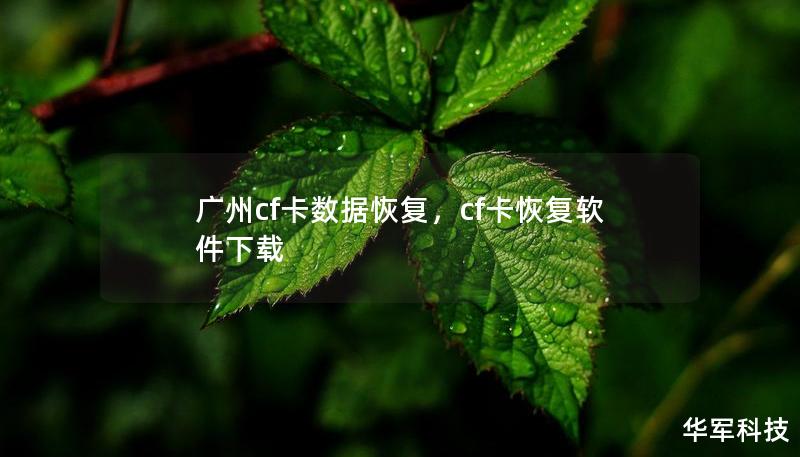 廣州cf卡數(shù)據(jù)恢復，cf卡恢復軟件下載