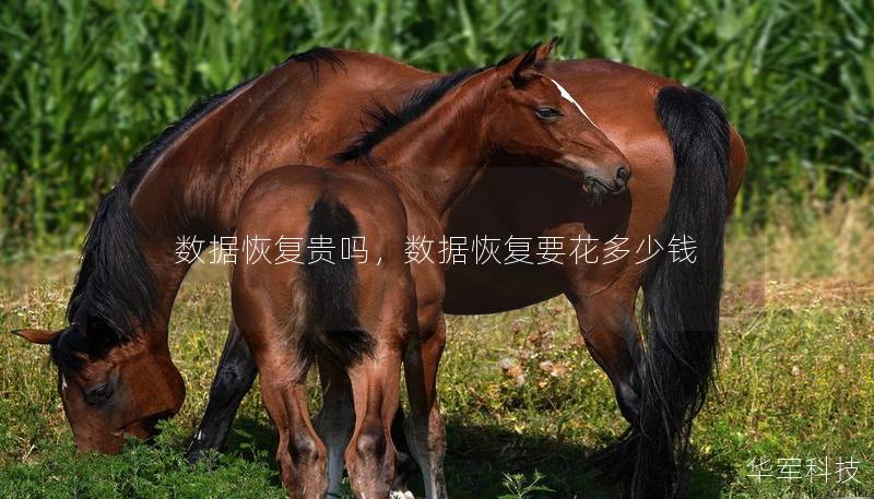 數(shù)據(jù)恢復(fù)貴嗎，數(shù)據(jù)恢復(fù)要花多少錢