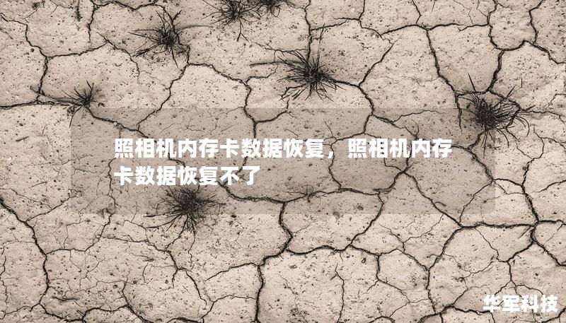 照相機(jī)內(nèi)存卡數(shù)據(jù)恢復(fù)，照相機(jī)內(nèi)存卡數(shù)據(jù)恢復(fù)不了