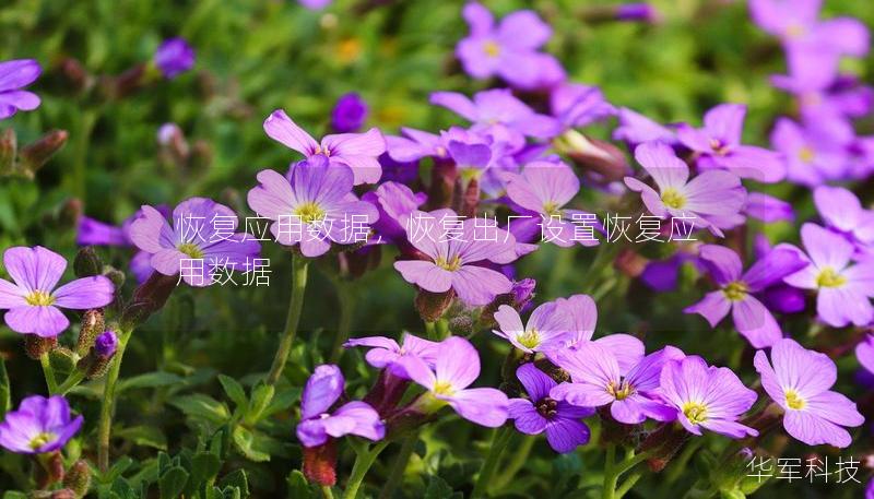 恢復(fù)應(yīng)用數(shù)據(jù)，恢復(fù)出廠設(shè)置恢復(fù)應(yīng)用數(shù)據(jù)