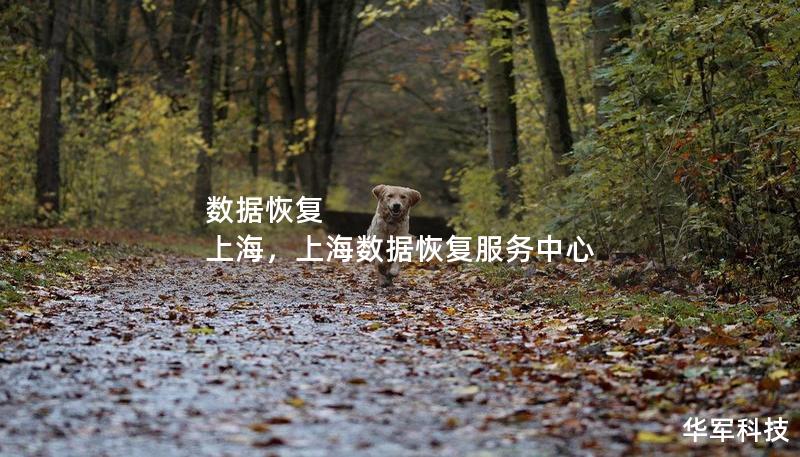數(shù)據(jù)恢復 上海，上海數(shù)據(jù)恢復服務中心