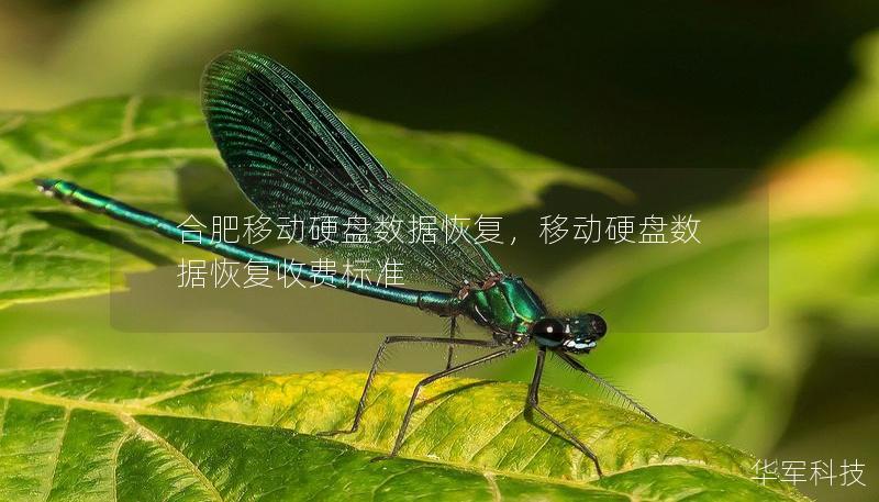 合肥移動(dòng)硬盤數(shù)據(jù)恢復(fù)，移動(dòng)硬盤數(shù)據(jù)恢復(fù)收費(fèi)標(biāo)準(zhǔn)