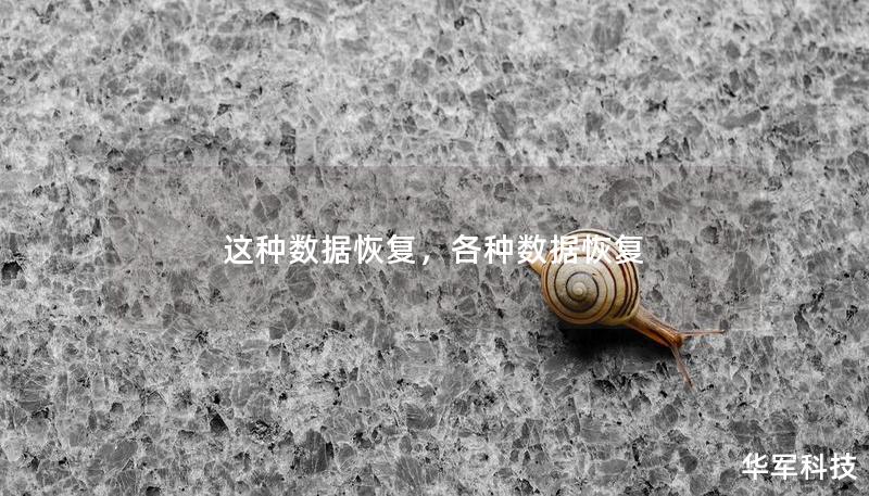 這種數(shù)據(jù)恢復(fù)，各種數(shù)據(jù)恢復(fù)
