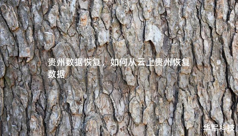 貴州數(shù)據(jù)恢復(fù)，如何從云上貴州恢復(fù)數(shù)據(jù)