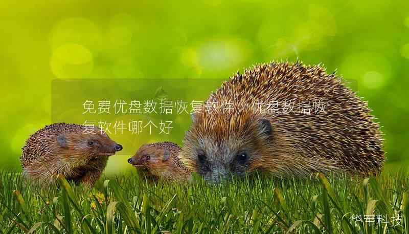 免費優(yōu)盤數(shù)據(jù)恢復軟件，優(yōu)盤數(shù)據(jù)恢復軟件哪個好