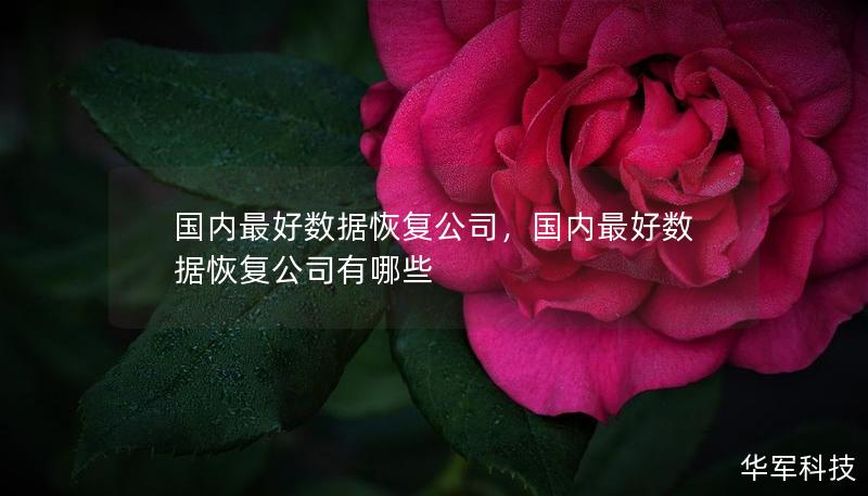 國內(nèi)最好數(shù)據(jù)恢復(fù)公司，國內(nèi)最好數(shù)據(jù)恢復(fù)公司有哪些