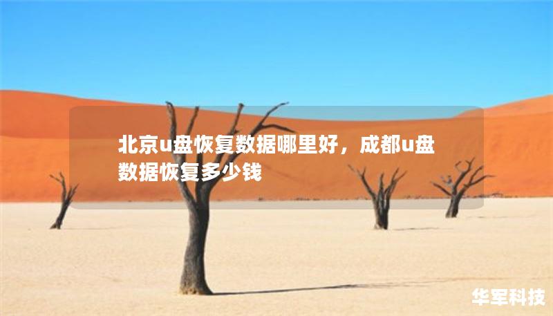 北京u盤恢復(fù)數(shù)據(jù)哪里好，成都u盤數(shù)據(jù)恢復(fù)多少錢